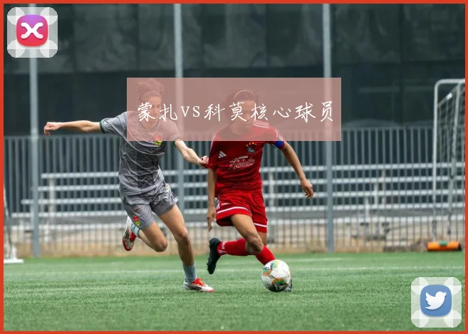 蒙扎vs科莫核心球员
