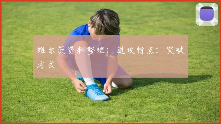 维尔茨资料整理：进攻特点：突破方式